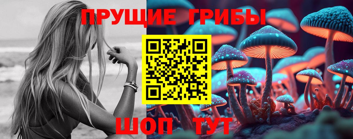 Донецк  Псилоцибиновые грибы прущие грибы  Вход с VPN 